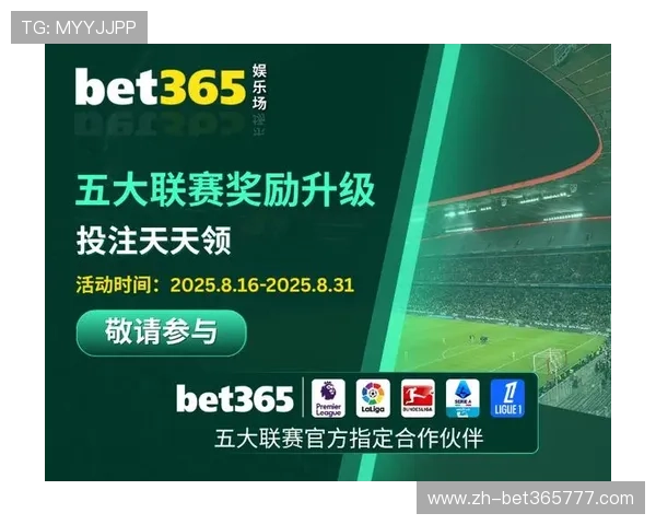 专业推荐bet365中文版下载途径，保障您的账户安全与游戏体验