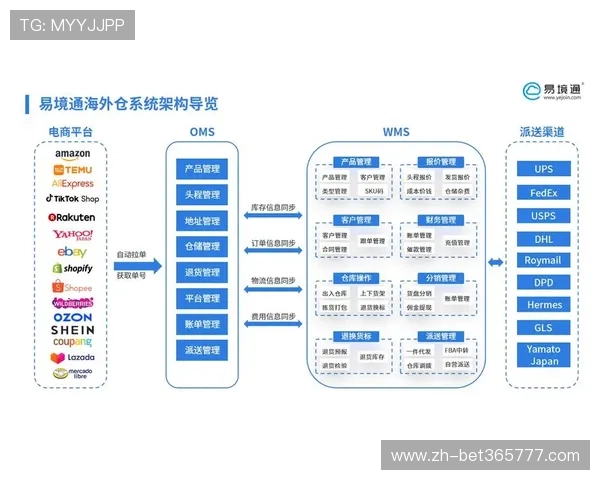 利用365平台官网优化您的网站管理流程提升运营效率和用户体验